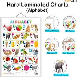 go woo Alphabet Early Learning Educational Chart for Kids | 20"X30" inch |Non-Tearable and Waterproof | Double Sided Laminated | Perfect for Homeschooling, Kindergarten and Nursery Students Paper Print image 2