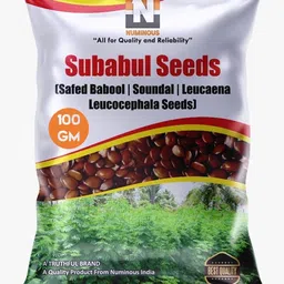 numinous Subabul, Safed Babool, Soundal, Leucaena Leucocephala, Fodder Tree Seeds Seed-picture-10