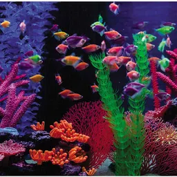 lattice Aquarium Fishes Jigsaw Puzzle for boys and girls image 2