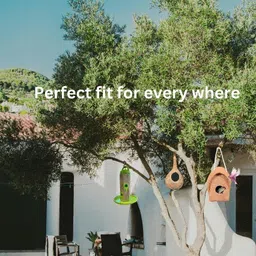 feel better combo 3 Bird House image 5