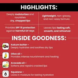 lipz Lip Moisturizer with SPF 15 for Hydrated, Soft & Protected Lip Vanilla image 2