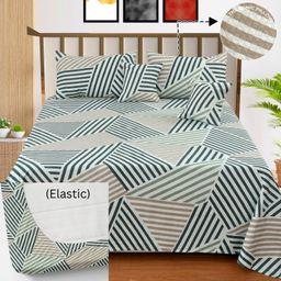ncs 300 TC Cotton Double Floral Fitted (Elastic) Bedsheet-picture-8