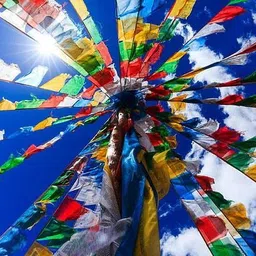 prokriti Color Print Tibetan Buddhist Prayer Rectangle Outdoor Flag image 5