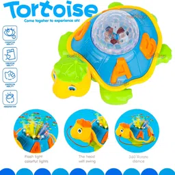 ayaan central store dancing tortoise image 4