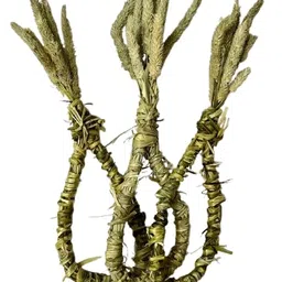 PETZEE 100% Organic Timothy Hay Handcrafted Olive for Small Animals (Pack of 3) Rabbit, Hamsters, Small Animal Toy image 1