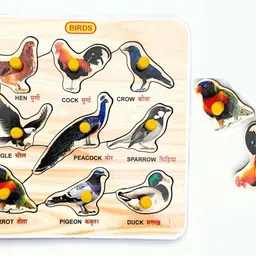 highseas Useful Colorful Birds with Knobs Wooden Birds Names in Shapes Puzzle Board image 1