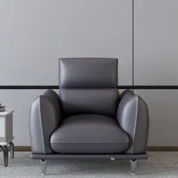 durian Arnett Leather 1 Seater In Grey Colour-picture-32