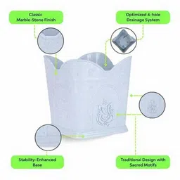 monkely Tulsi Plant image 3