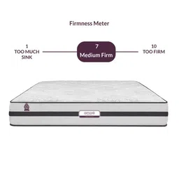 amore international Orthoplus Latex 10 Inch Pocket Spring Mattress In King Size image 4