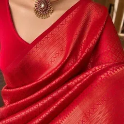 somvati Woven, Self Design, Embellished Kanjivaram Art Silk, Jacquard Saree-picture-21