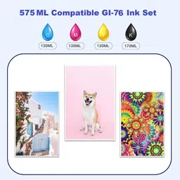 verena GI-76 Refill ink Compatible Color Bulk Water Based GX6070 GX7070 Printer Black + Tri Color Combo Pack Ink Bottle image 3