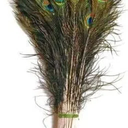 raga plus Pack of 25 Decorative Feathers-picture-18