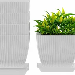 flipkart smartbuy Set Of 5 Square Flower Pots Outdoor Indoor, Planters with Drainage Hole and Tray Plastic Vase-picture-16