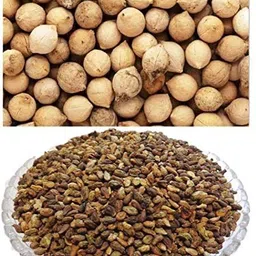 kotaliya Combo, Shivlingi Seeds - 75gm, Putrajeevak Seeds - 75gm Seed Seed-picture-10