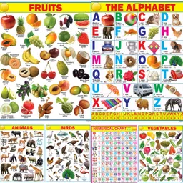 Educational Learning Wall Chart for Kids (Pack of 6) | Early Learning Posters | 45x60 cm | Vibrant & Laminated Charts for Home & School Use Fine Art Print-image-83