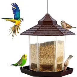 garden's need Hut Shape Bird Feeder with 360° Perch, Transparent Grain Holder, 1-Mtr SS Wire Common Bird Feeder-picture-16