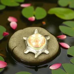 sbbco Divine Magnet Metal Tortoise for Vastu, Good Luck & Prosperity Decorative Showpiece - 2 cm-picture-19