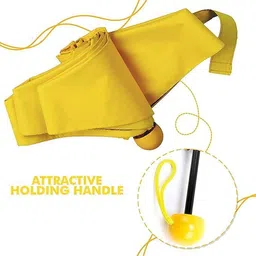 kanikarathee Capsule Umbrella A2 Umbrella image 4