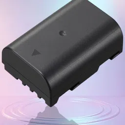 DAATA Digital BLF-19 Battery Gold 4000 mah Camera Battery Charger image 5