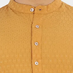 vebnor Men Solid Jacquard Straight Kurta-picture-30