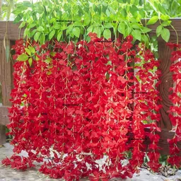 well art gallery Artificial Silk Wisteria Home Garden Wedding Festival Event Floral Décor Red Red Westeria Artificial Flower-picture-14