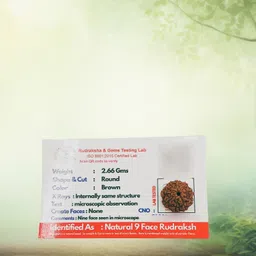 rudra gems jewellery Beads Wood Locket Set-picture-30