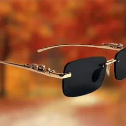 shade house UV Protection Retro Square Sunglasses (54)-picture-14