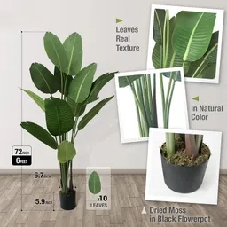 tied ribbons Artificial Large Big Bird of Paradise Plant with Pot (6ft) for Home Décor Bonsai Artificial Plant with Pot image 3