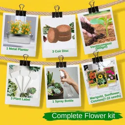Ecofynd 3 In 1 Diy Growkit For Marigold Sunflower And Cosmos Mix image 2