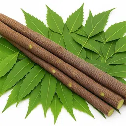 neem datoon pure neem natural datun sticks Medium Toothbrush image 2