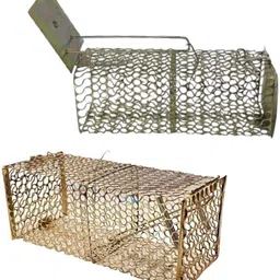 greengrow Rat/Mouse/Rodent Trap Cage Rustic Copper (1, Medium/26 X 11.5 X 10 cm) Live Trap-picture-25