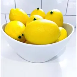Babymoon Set of 15 5pc Lemons and 10pc Slices Fruit Decoration Baby Photography Props-image-80