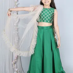 THE LITTLE CELEBS Girls Embellished Ready to Wear Lehenga & Blouse With Dupatta-picture-43