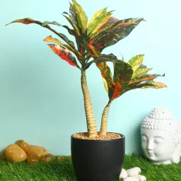 casacraft from pepperfry Red Polyester Artificial Plant With pot image 1