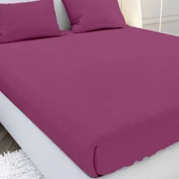 mayfair homes london Pink Solid 210 TC Cotton Queen Sized Double Bedsheet with 2 Pillow Covers Satin Stripe 2024 Collection-picture-20