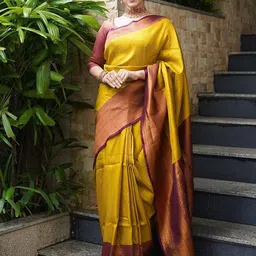 BerMondsey Woven Design Banarasi Saree-picture-22