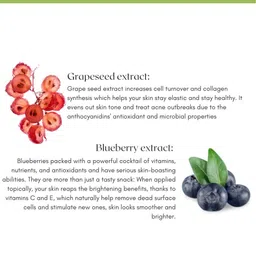 Skin Secrets 6 Step Grape Wine Skin Firming & Tightening Facial Care Kit - 310g image 3