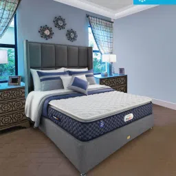springfit ProActiv Jump 6 inch Bonnell Spring Queen Size Mattress in Multicolour Colour image 1