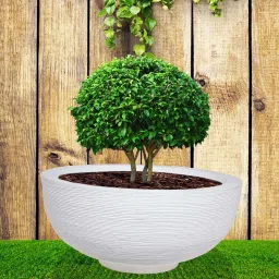 nora Lily Pan White Polyethylene Floor Planter image 1