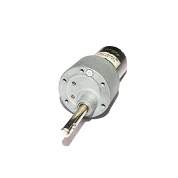 Johnson Geared Motor (Grade B) 10 RPM image 1