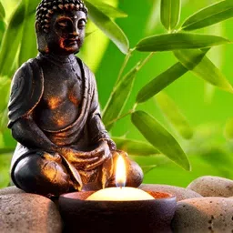 Wallpics Green & Brown Printed Self-Adhesive Wall Sticker-picture-36