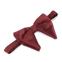 Alvaro Castagnino Men Maroon Bow Tie image 4