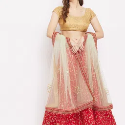 Clora Creation Beige & Red Ethnic Motifs Embroidered Net Dupatta with Beads and Stones image 4