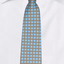The Tie Hub Men Printed Italian Silk Necktie image 3