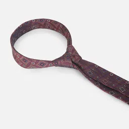 Van Heusen Men Embroidered Printed Broad Tie image 5