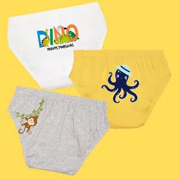 NUSYL Boys Pack of 3 White,Yellow,Grey Printed Briefs-picture-34