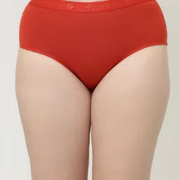Floret Women Pack Of 2 Assorted Hipster Briefs image 5