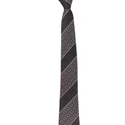 The Tie Hub Men Checked Silk Skinny Tie image 3