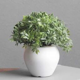 foliyaj Plastic Green And Blend Small Leaves Mini Tree With Pot Artificial Plants-picture-27