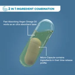 Wellbeing Nutrition Slow | Gut Health (60 Capsules) | 20 Billion CFU Probiotic & Prebiotic in Vegan Omega 3 Oil | GUT, Digestive Balance & Maintain Intestinal Integrity image 4